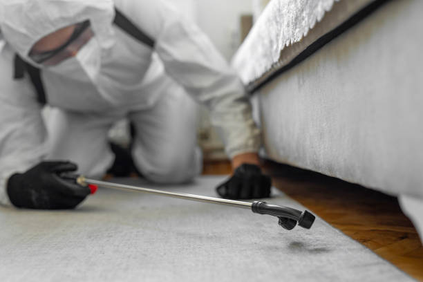 Professional Bed Bug Control technician working in Putnam County County, FL
